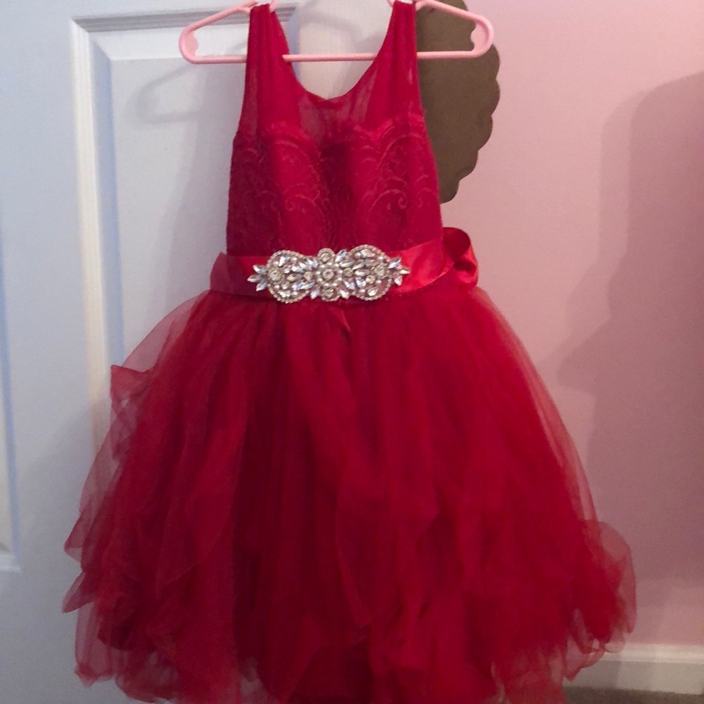 Gorgeous holiday dress - worn only twice
